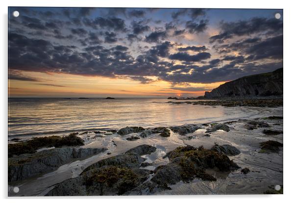 Lee Bay sunrise Acrylic by Dave Wilkinson North Devon Ph