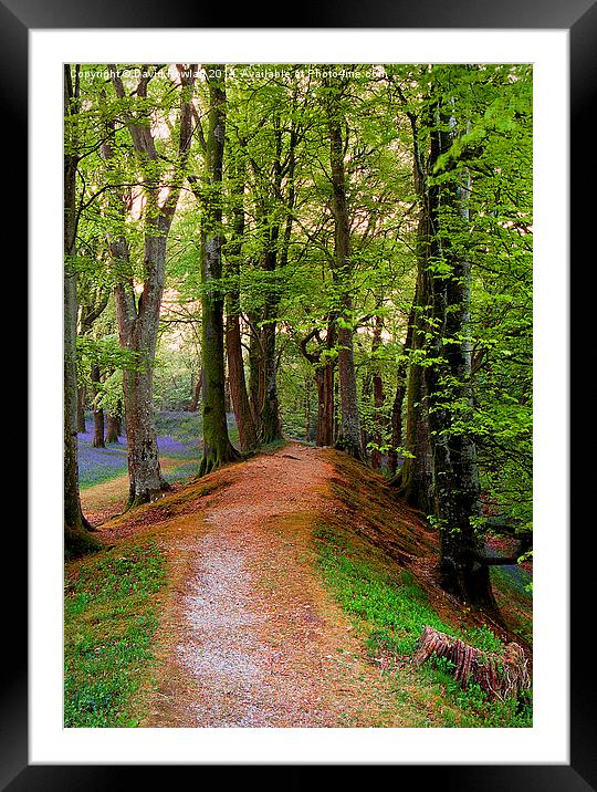  Blackbury Camp 2 Framed Mounted Print by Dave Rowlatt