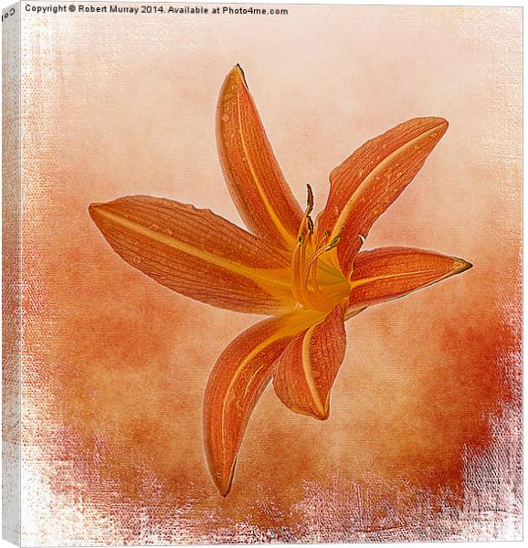  Orange Daylily Canvas Print by Robert Murray