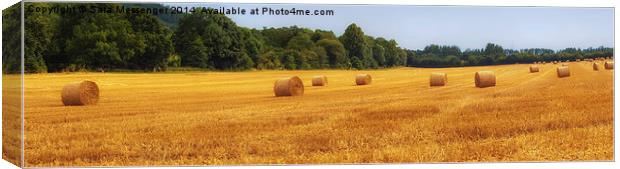  Golden straw bales in parnoramic Canvas Print by Sara Messenger