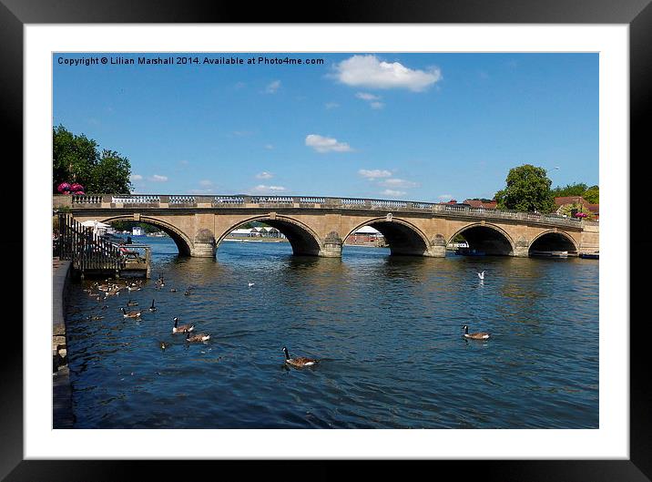 Henley on Thames road bridge. Framed Mounted Print by Lilian Marshall