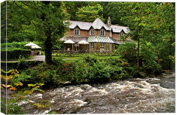 Watersmeet  Canvas Print by graham young