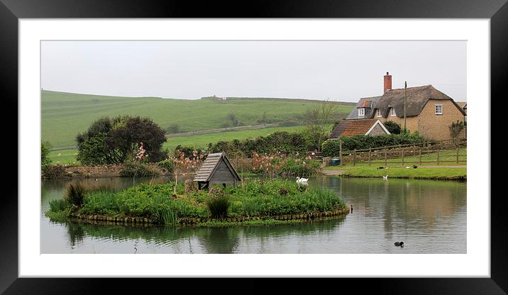  Abbotsbury Framed Mounted Print by Anthony Michael 