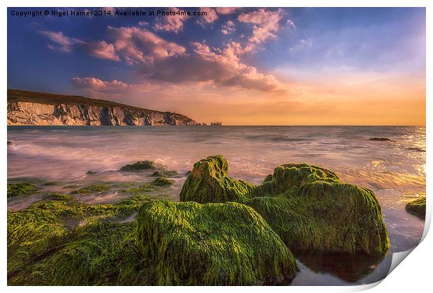 Alum Bay and The Needles #2 Print by Wight Landscapes