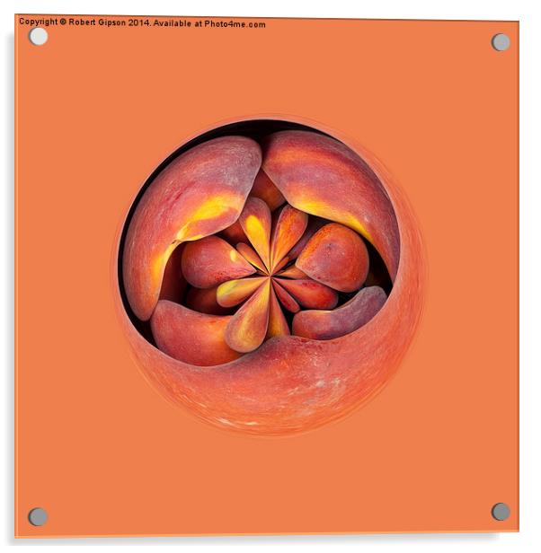 Peach in the globe Acrylic by Robert Gipson