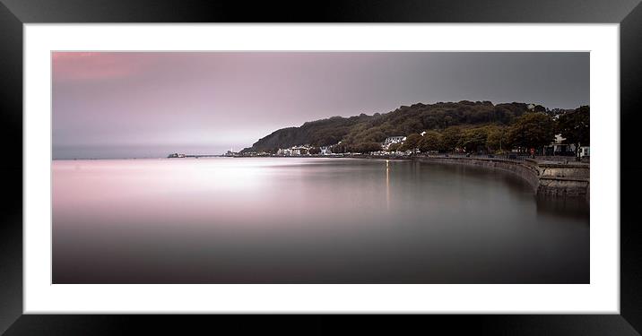  Mumbles coastline Swansea Framed Mounted Print by Leighton Collins