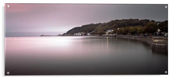  Mumbles coastline Swansea Acrylic by Leighton Collins
