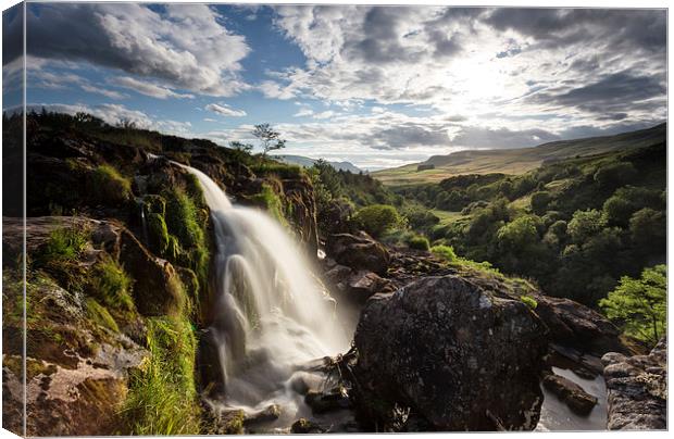  Loup of Fintry Canvas Print by Rod Hanchard-Goodwin