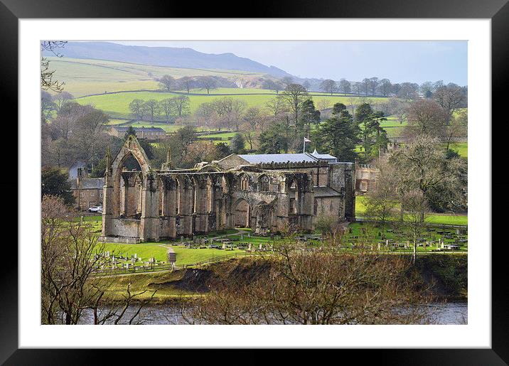  Bolton Abbey Framed Mounted Print by David Brotherton