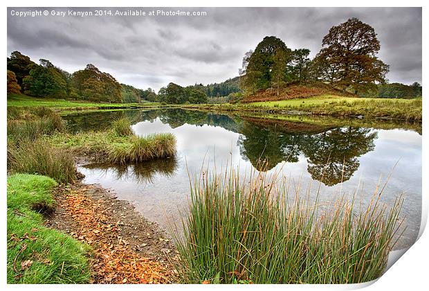  Reflections On The River Brathay Print by Gary Kenyon