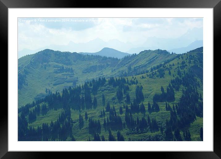  The Hills Are Alive With.............! Framed Mounted Print by Peter Farrington