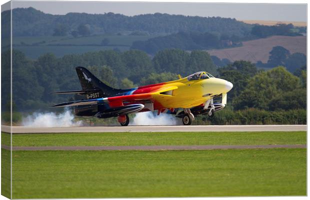 Miss Demeanour at Yeovilton Canvas Print by Oxon Images