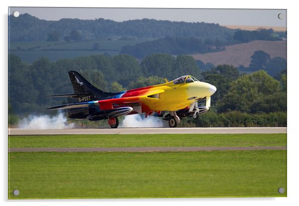Miss Demeanour at Yeovilton Acrylic by Oxon Images