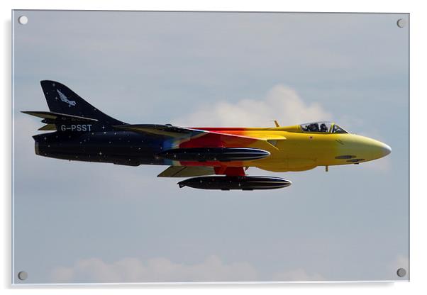 Miss Demeanour display at Yeovilton Acrylic by Oxon Images