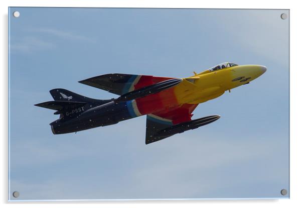 Miss Demeanour flying at Yeovilton Acrylic by Oxon Images