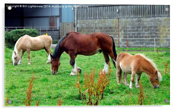  Three Hungry Horses Acrylic by Bill Lighterness