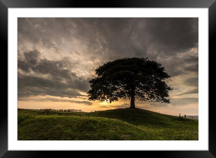  Single Tree Sunset Framed Mounted Print by John Cropper