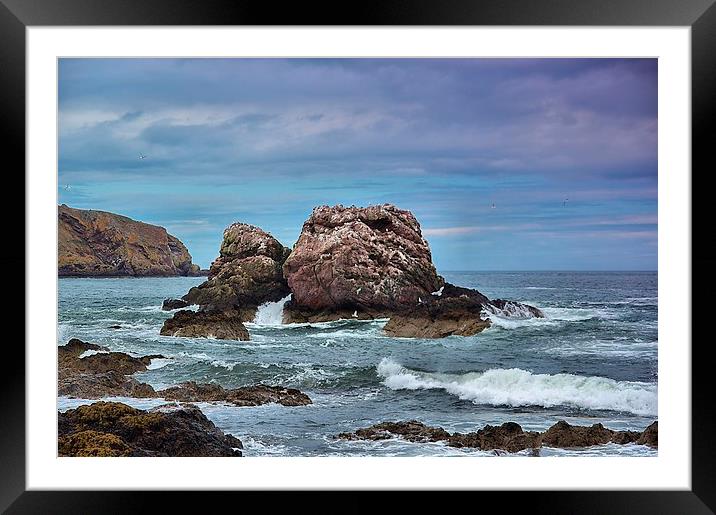 Seagull Rock 2 Framed Mounted Print by kevin wise