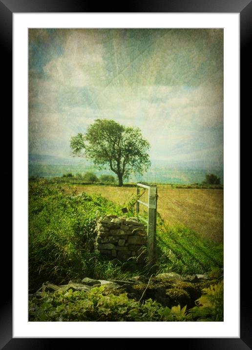  Jacob's Field. Framed Mounted Print by Heather Goodwin