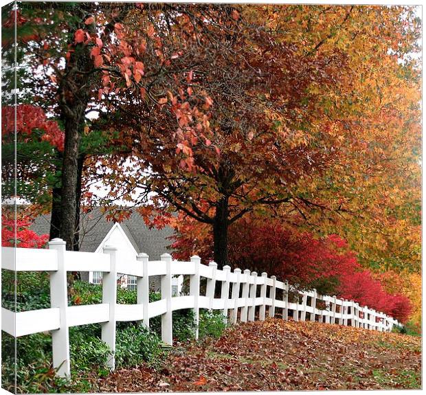  White Fence Canvas Print by Pics by Jody Adams