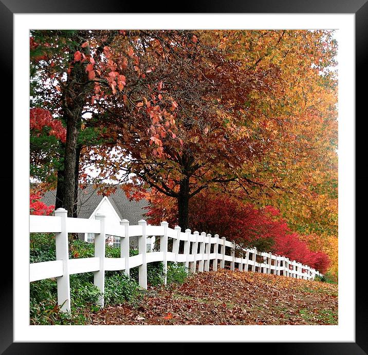  White Fence Framed Mounted Print by Pics by Jody Adams