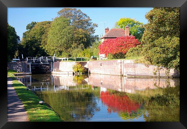  Autumn on the canal Framed Print by Steven Plowman