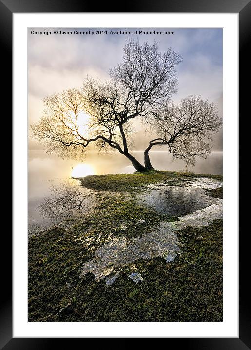  Ullswater Tree Framed Mounted Print by Jason Connolly