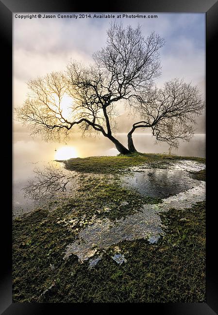  Ullswater Tree Framed Print by Jason Connolly