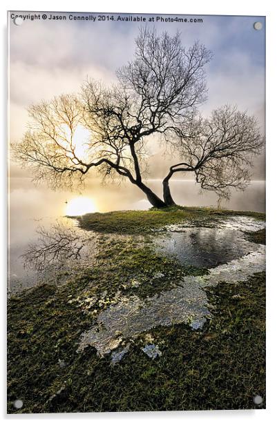  Ullswater Tree Acrylic by Jason Connolly