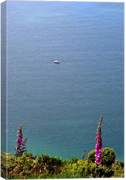 Fishing in Lynmouth Bay  Canvas Print by graham young