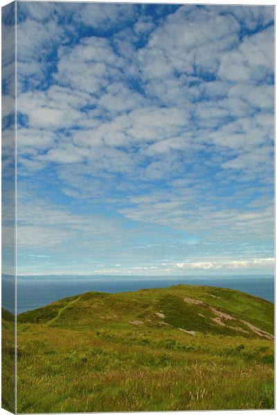 On Foreland Point  Canvas Print by graham young