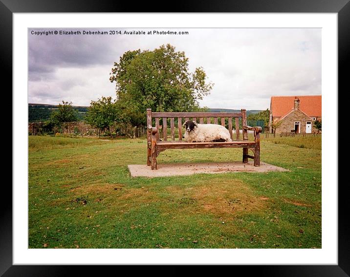 Sheep on bench in Goathland, North Yorkshire Moors Framed Mounted Print by Elizabeth Debenham