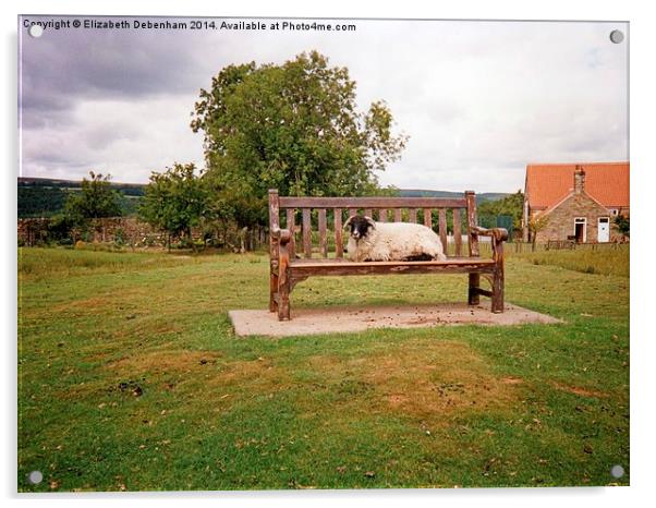 Sheep on bench in Goathland, North Yorkshire Moors Acrylic by Elizabeth Debenham
