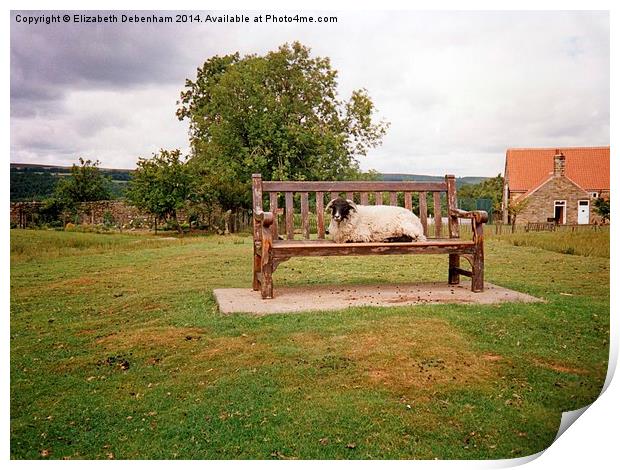 Sheep on bench in Goathland, North Yorkshire Moors Print by Elizabeth Debenham