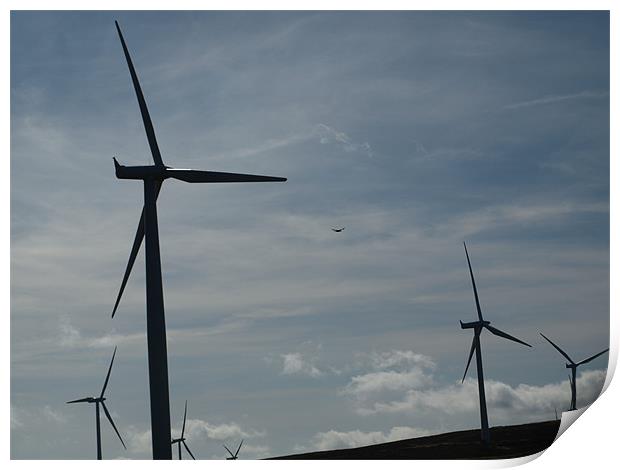 Turbines and Kestrel Print by Dave Menzies
