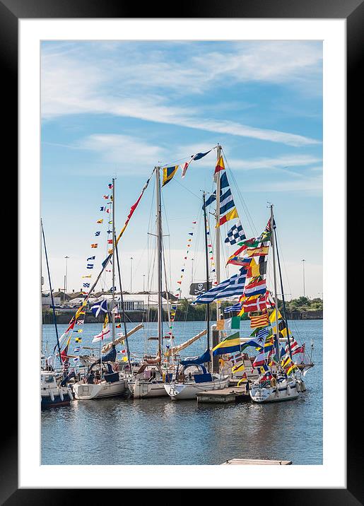 Flags Of The World 2 Framed Mounted Print by Steve Purnell