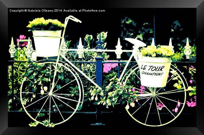  The Yellow Bicycle Framed Print by Gabriela Olteanu
