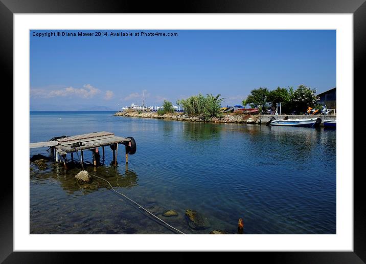  Messonghi River Framed Mounted Print by Diana Mower