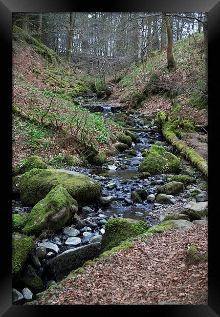  Winding Stream in Cumbria Framed Print by anna collins