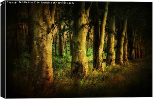 Creepy Woods 3 Canvas Print by Julie Coe