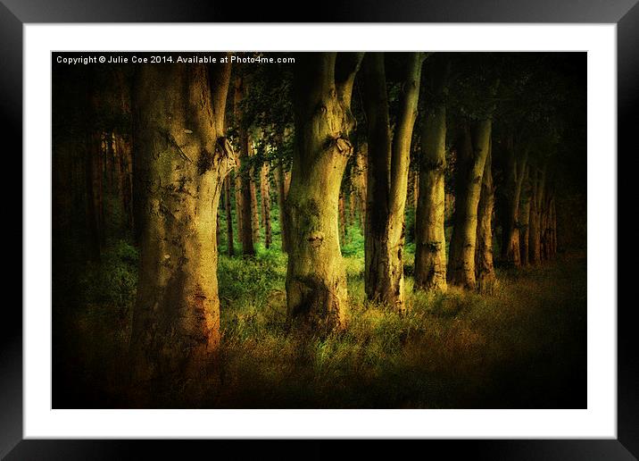 Creepy Woods 3 Framed Mounted Print by Julie Coe