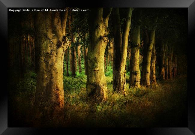 Creepy Woods 3 Framed Print by Julie Coe