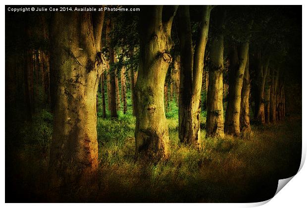Creepy Woods 3 Print by Julie Coe