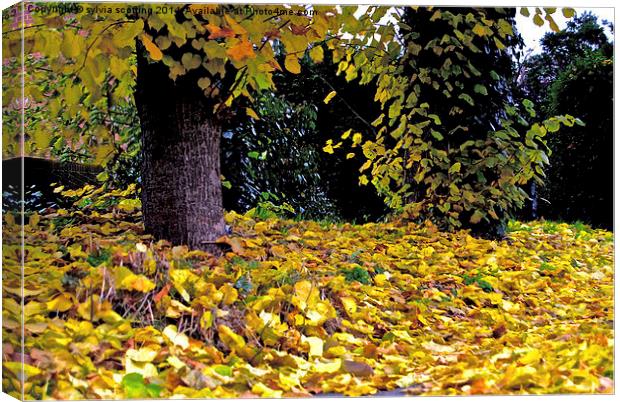  Autumn Leaves Canvas Print by sylvia scotting