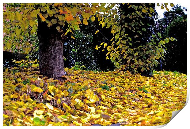  Autumn Leaves Print by sylvia scotting