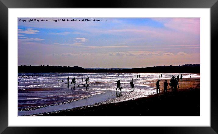 Fun on the beach at sunset  Framed Mounted Print by sylvia scotting