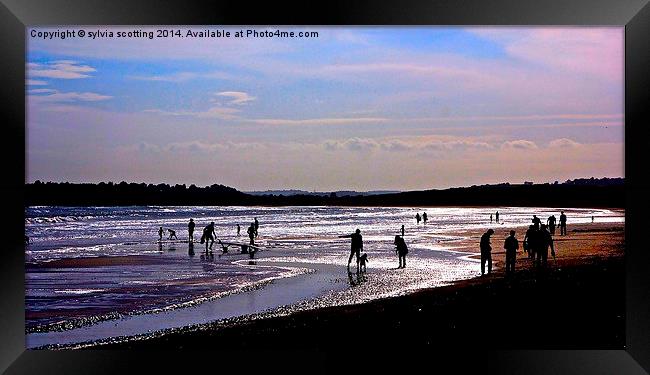 Fun on the beach at sunset  Framed Print by sylvia scotting