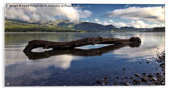 Coniston Water Acrylic by David Pringle