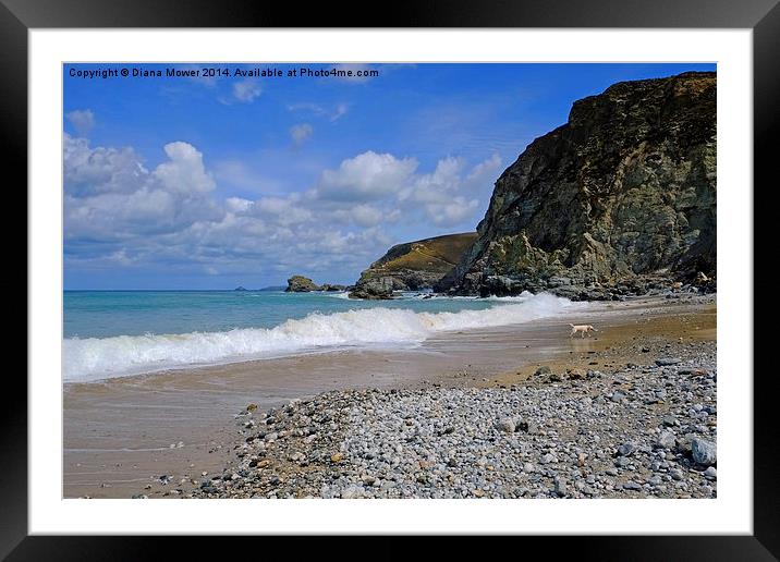Trevaunance Bay Framed Mounted Print by Diana Mower