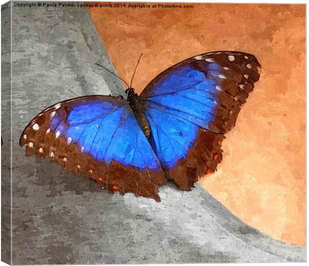 Blue Morpho Butterfly  Canvas Print by Paula Palmer canvas